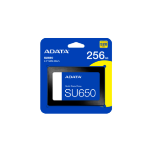 DISCO SÓLIDO INTERNO SATA 256GB